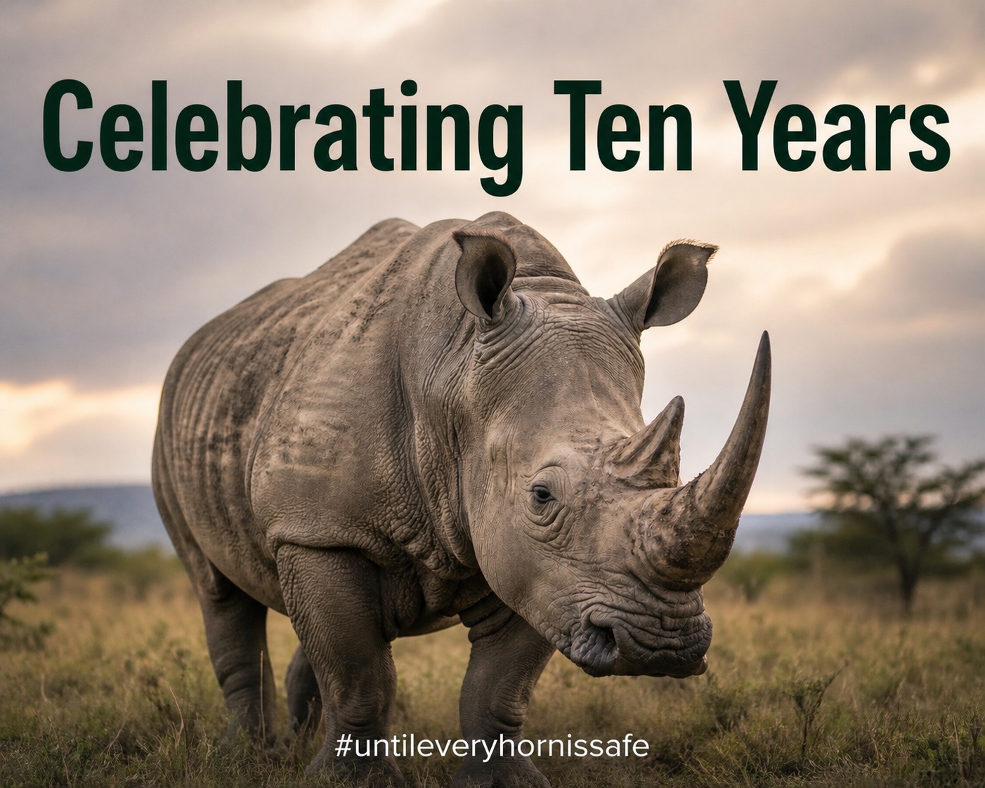 Celebrating 10 Years